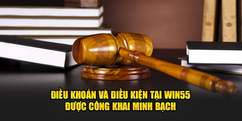 Quy định bảo vệ quyền sở hữu trí tuệ tại WIN55