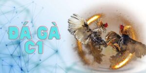 da ga c1